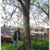 15478278405952_1804_CVETANJE CG (7).jpg
